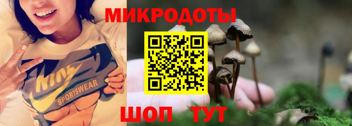 Псилоцибиновые грибы Magic Shrooms  Вход с VPN  Рязань 